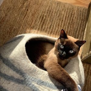 Meet your Posher, Natalie